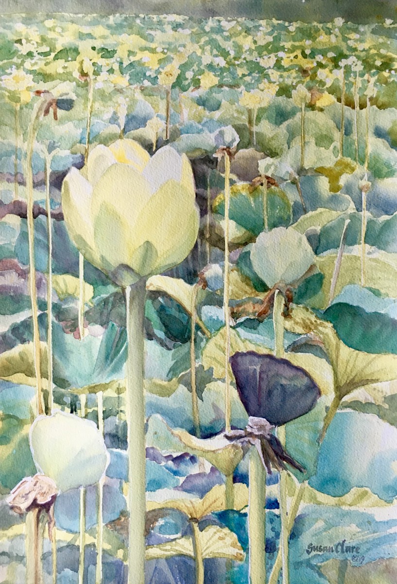 Pond Cakes by Susan Clare 