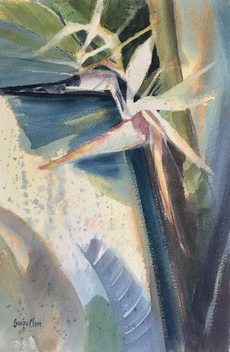 White Bird of Paradise by Susan Clare, Image 1.