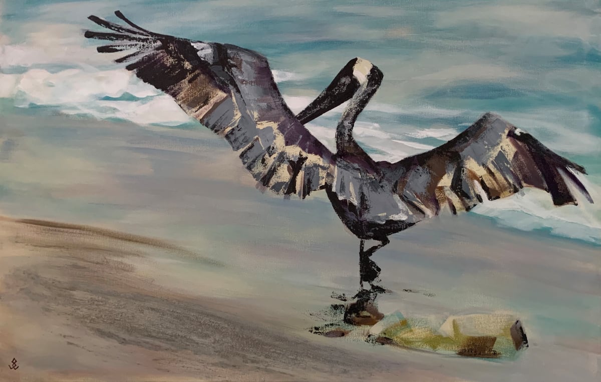 Pelican Landing by Susan Clare 