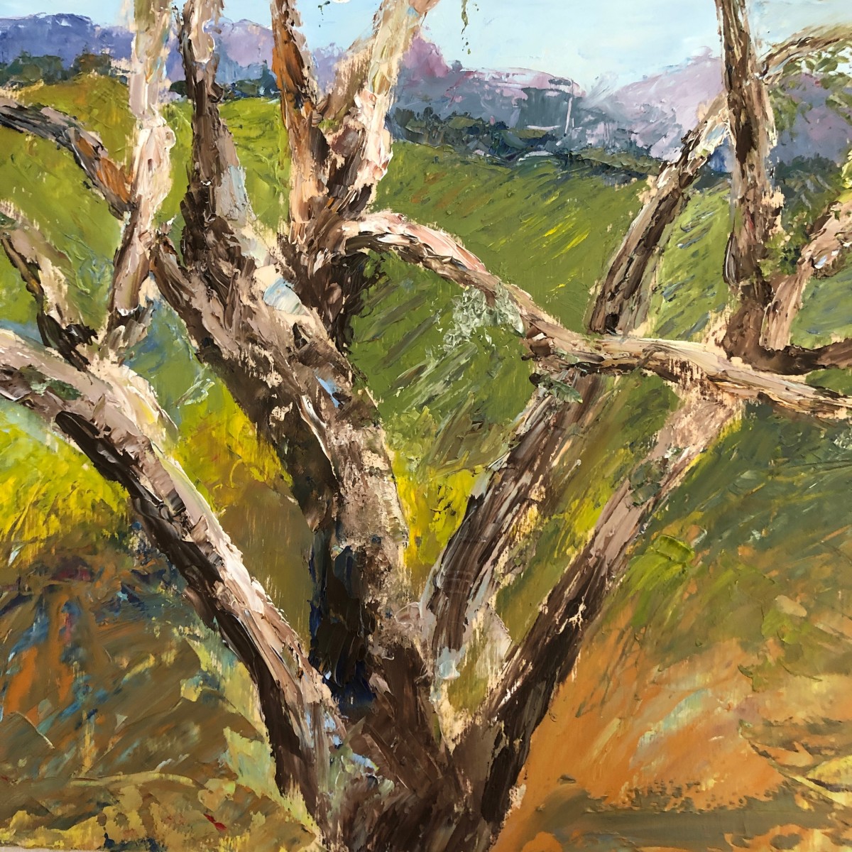 Oak out Back by Renée  Ortiz 