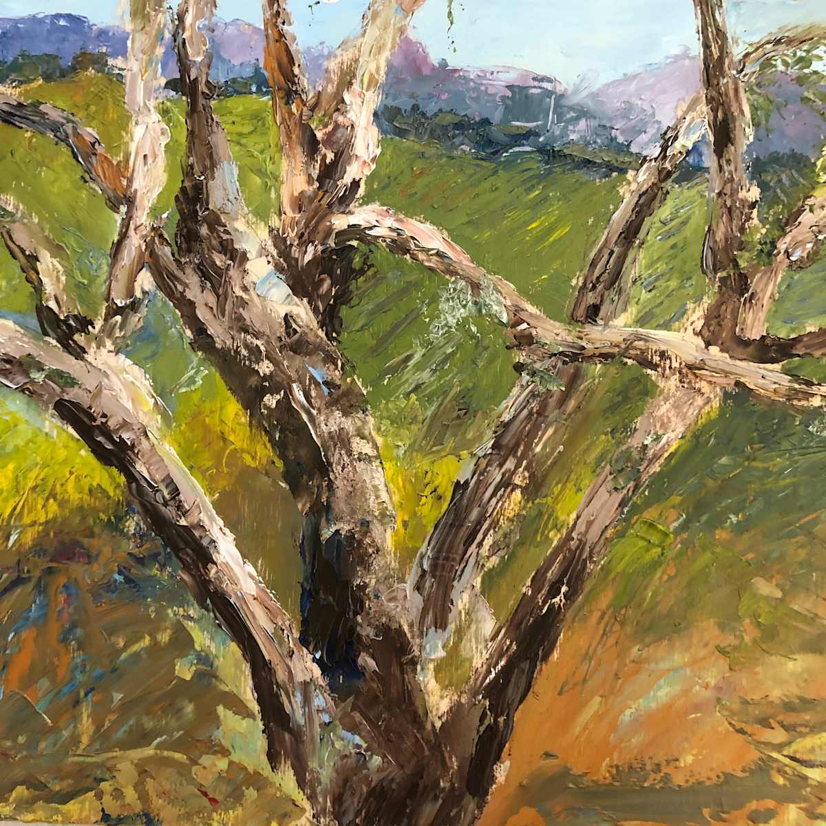 Oak out Back by Renée  Ortiz, Image 1.
