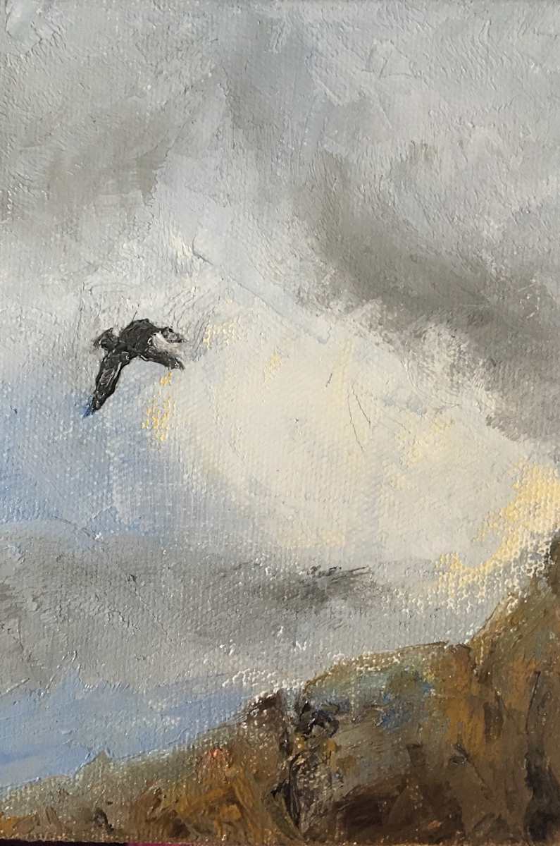 Soar by Renée  Ortiz, Image 1.