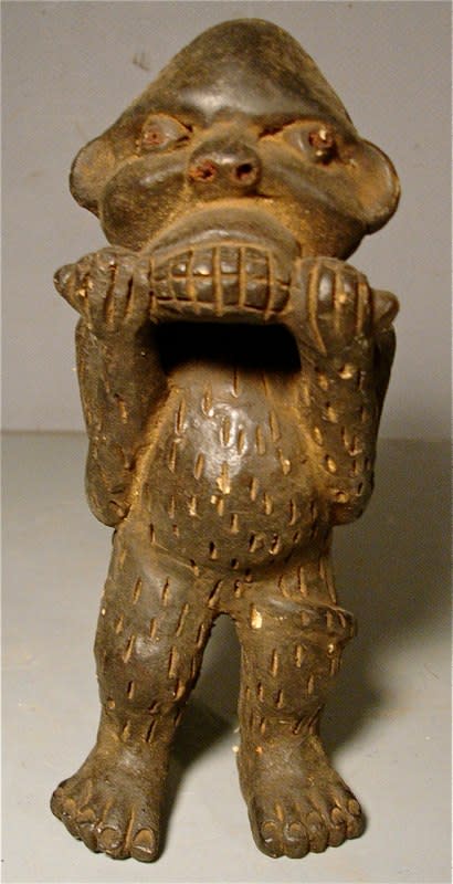 294 Corn-eating Mupo 