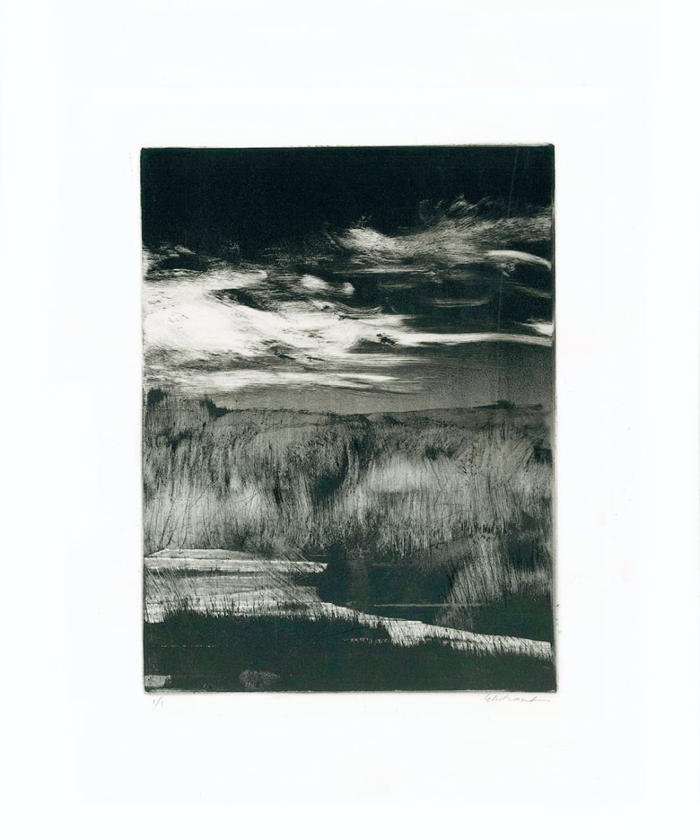 Homeground Suite #11 by Kris Ekstrand 