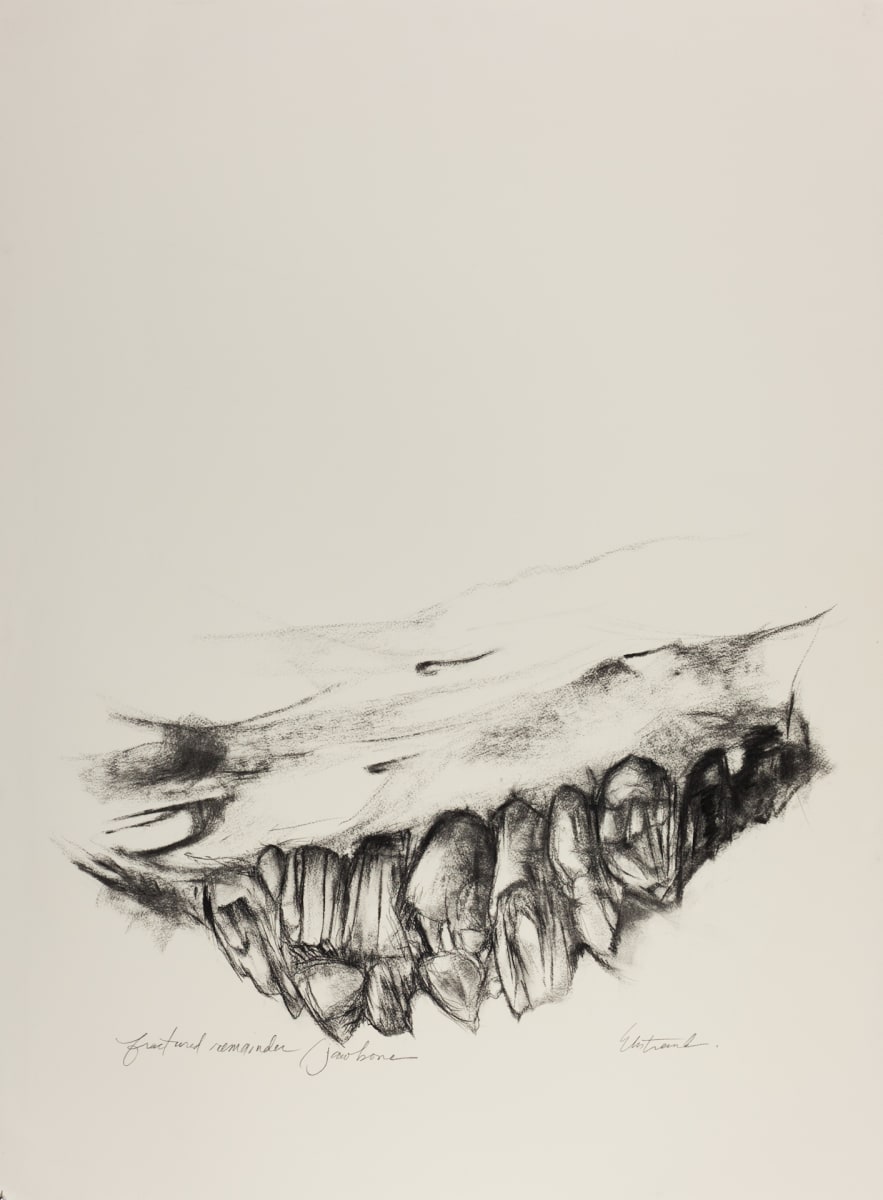 Fracture by Kris Ekstrand 