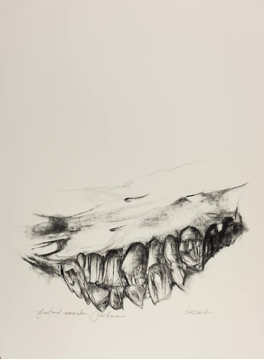 Fracture by Kris Ekstrand, Image 1.