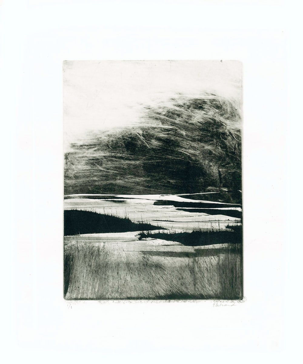 Homeground Suite #12 