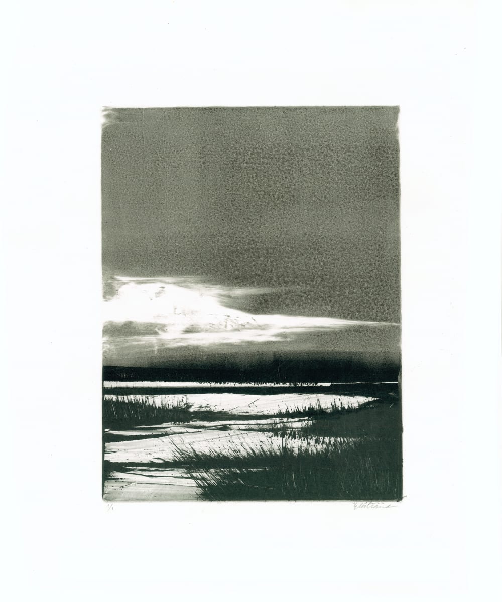 Homeground Suite #13 