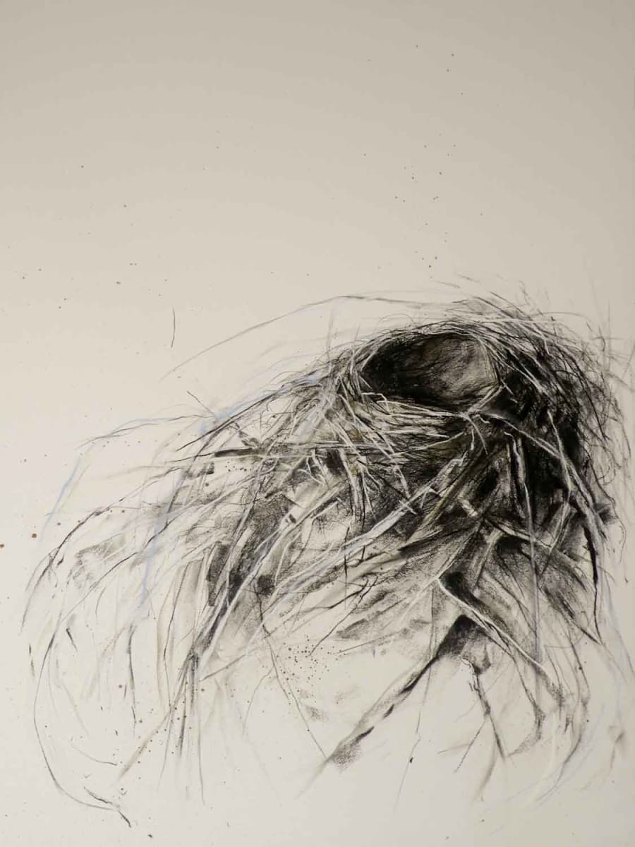 Nest Found in an Arbor by Kris Ekstrand 