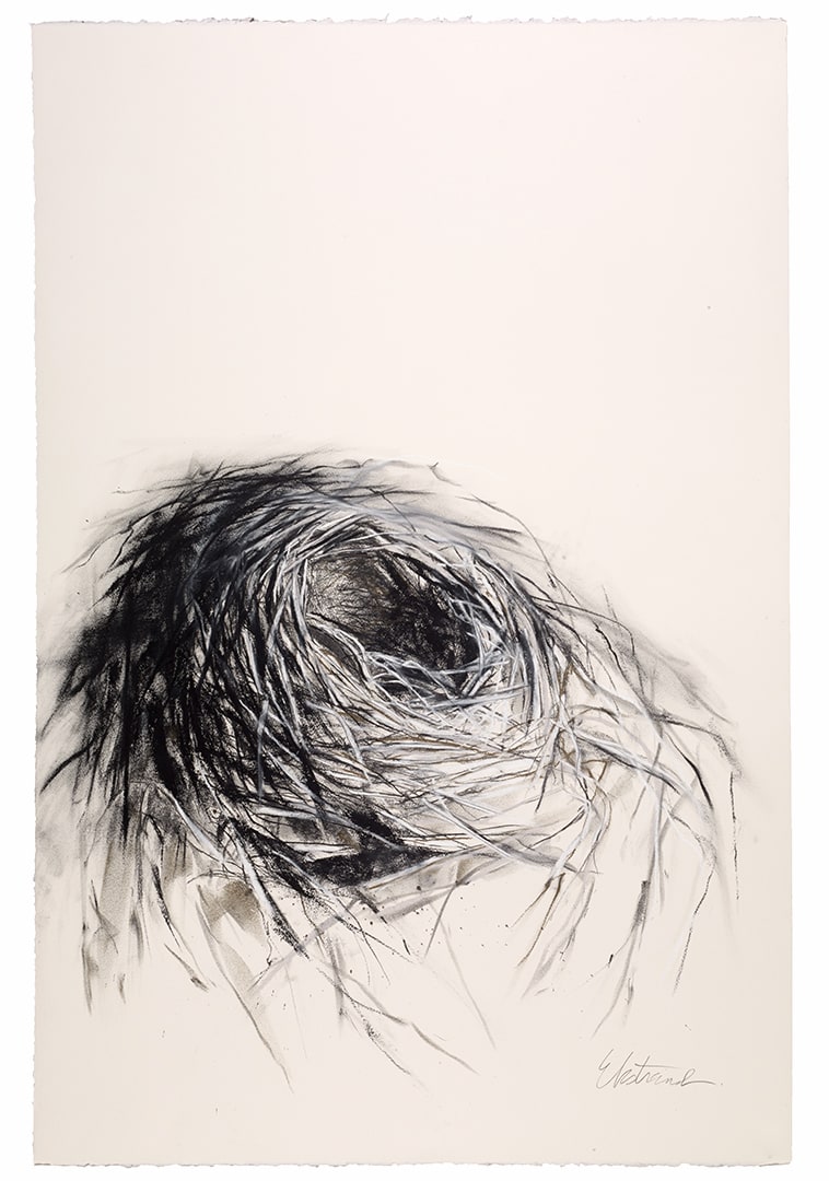 Migration by Kris Ekstrand 