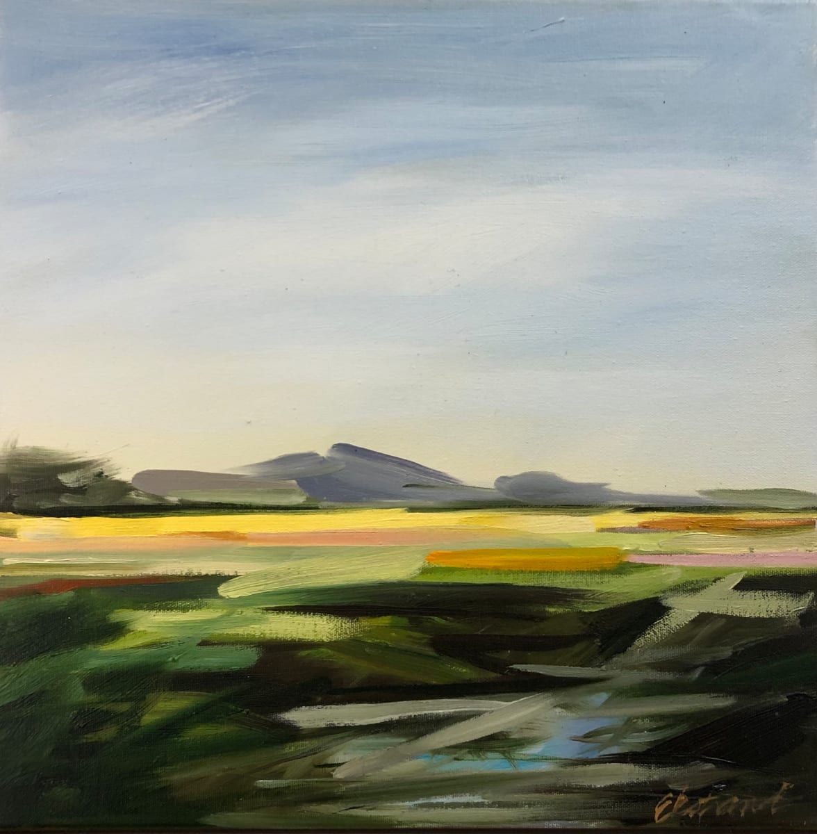 Light on the Flats, Image 1.