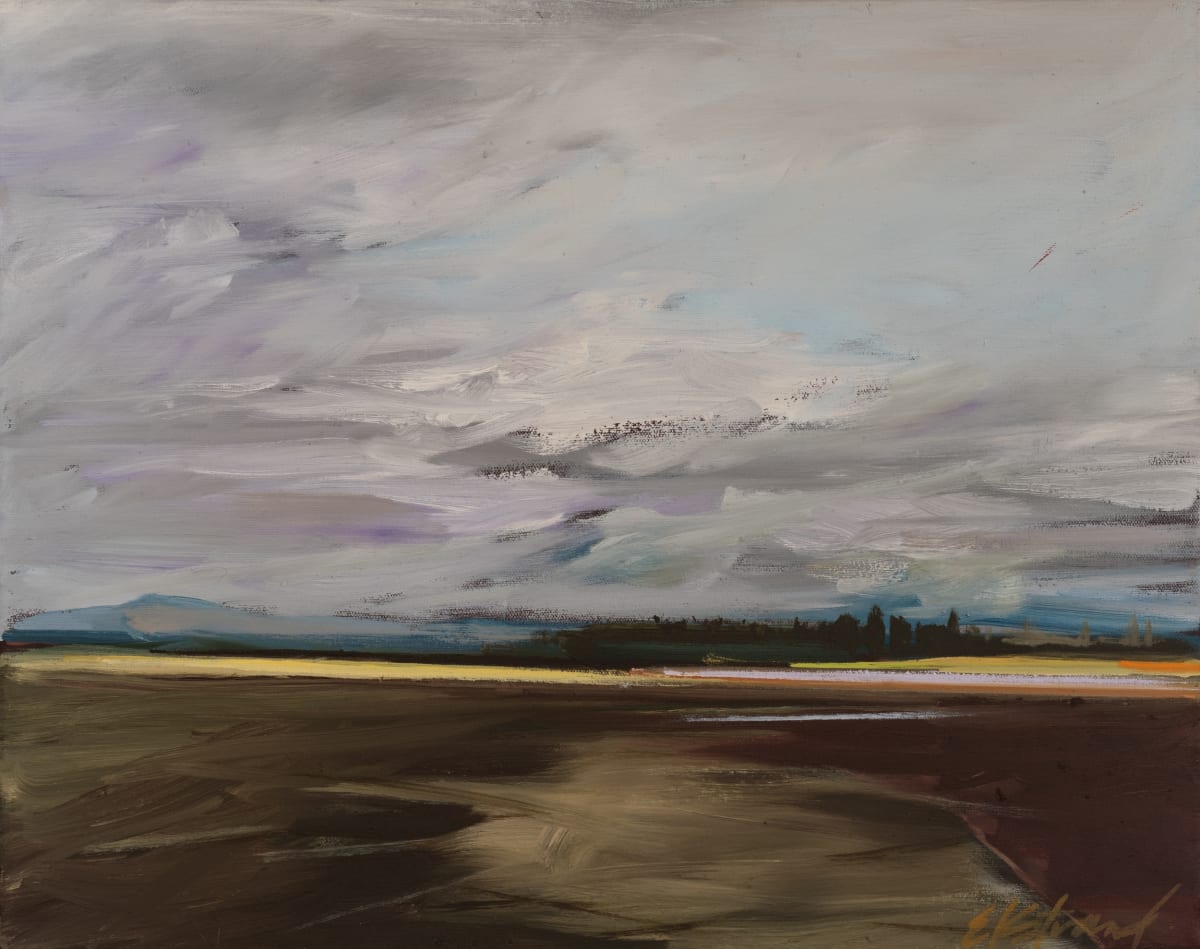 Samish Flats Series #3, Image 1.