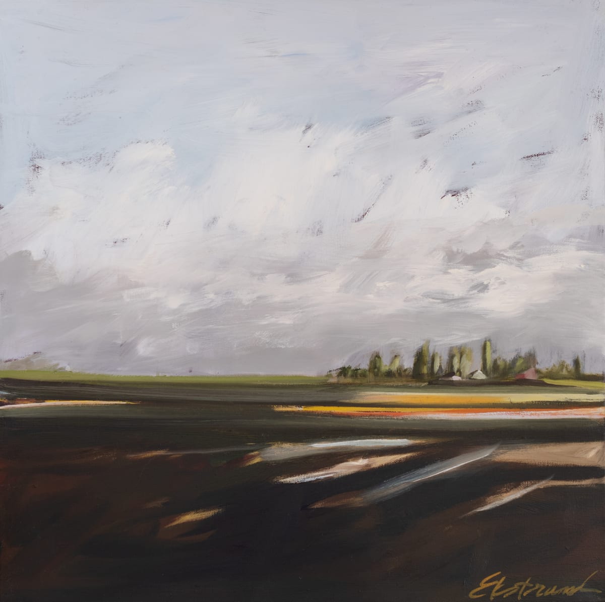 Samish Flats Series #8, Image 1.