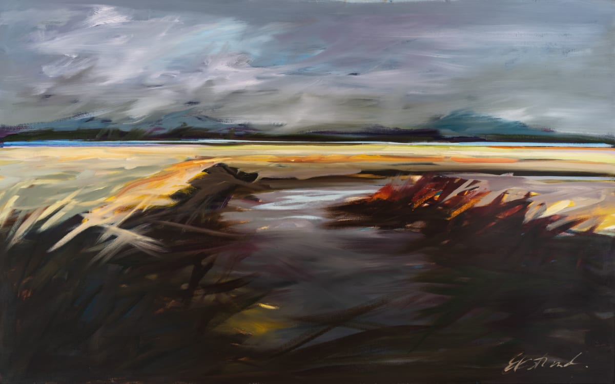Samish River at Thomas Road, Image 1.