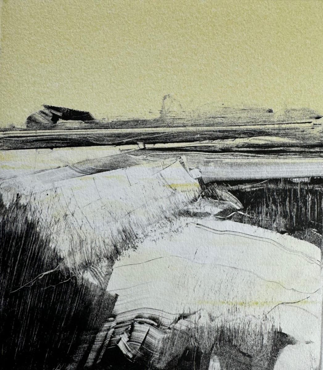 Unknown Debris II by Kris Ekstrand 