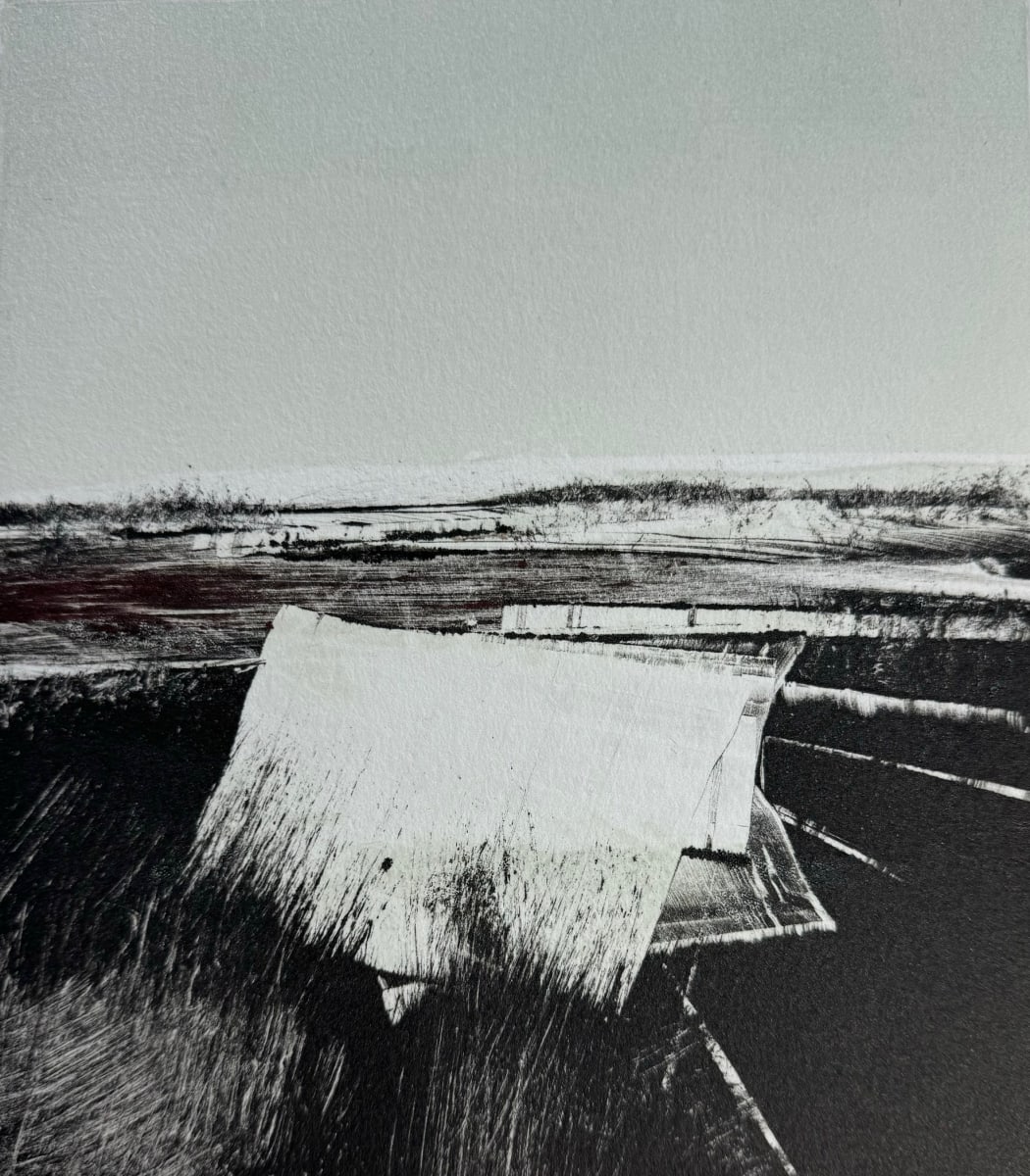 Unknown Debris by Kris Ekstrand 