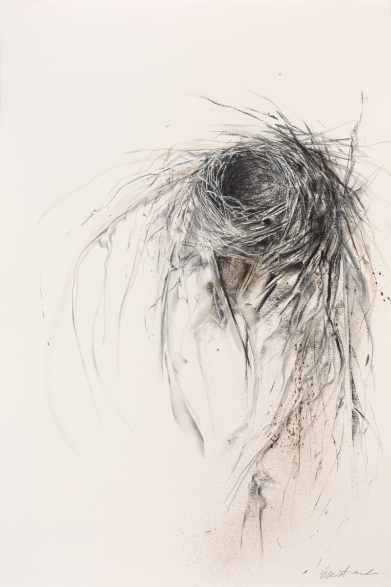 Vortex by Kris Ekstrand 