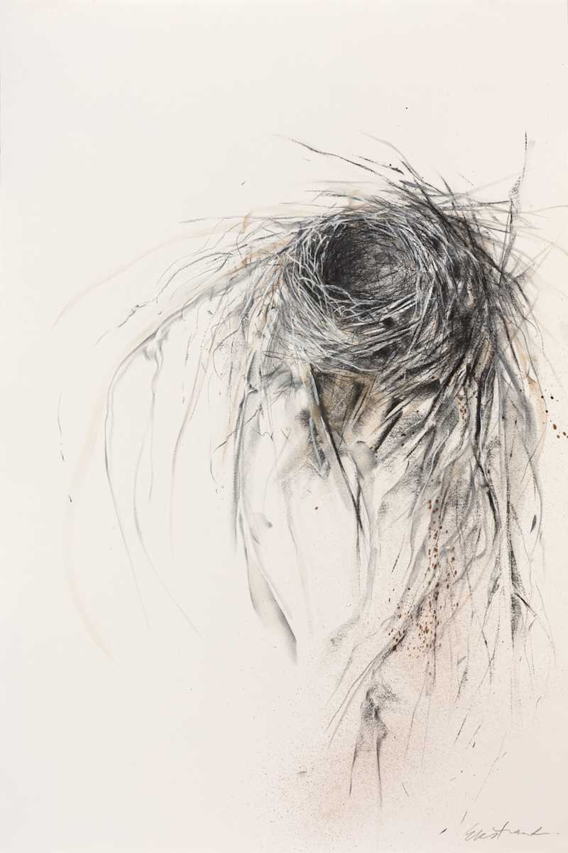 Vortex by Kris Ekstrand, Image 1.