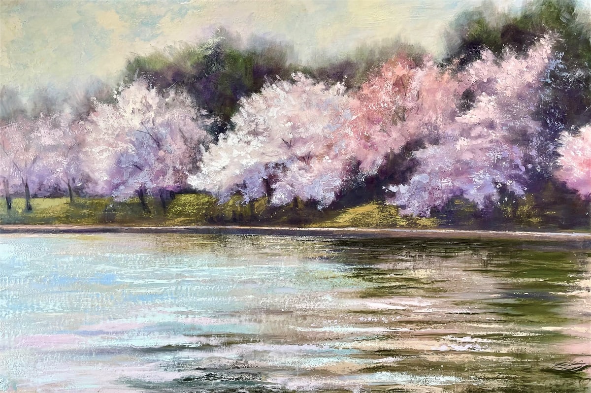 Spring Arrives in DC by Anne Stine 