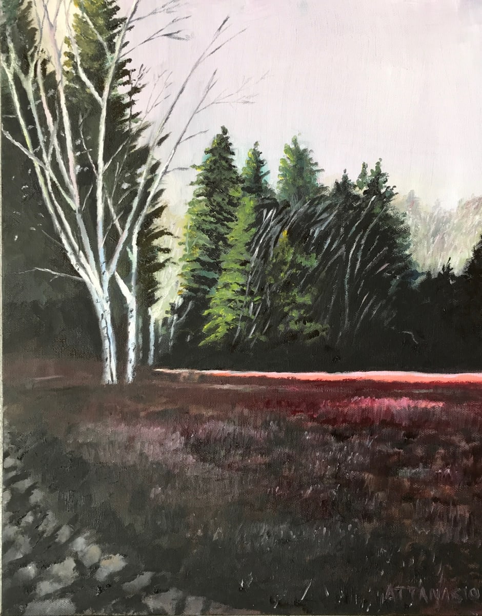 Petit Manan Preserve by John Attanasio Fine Art Studio 