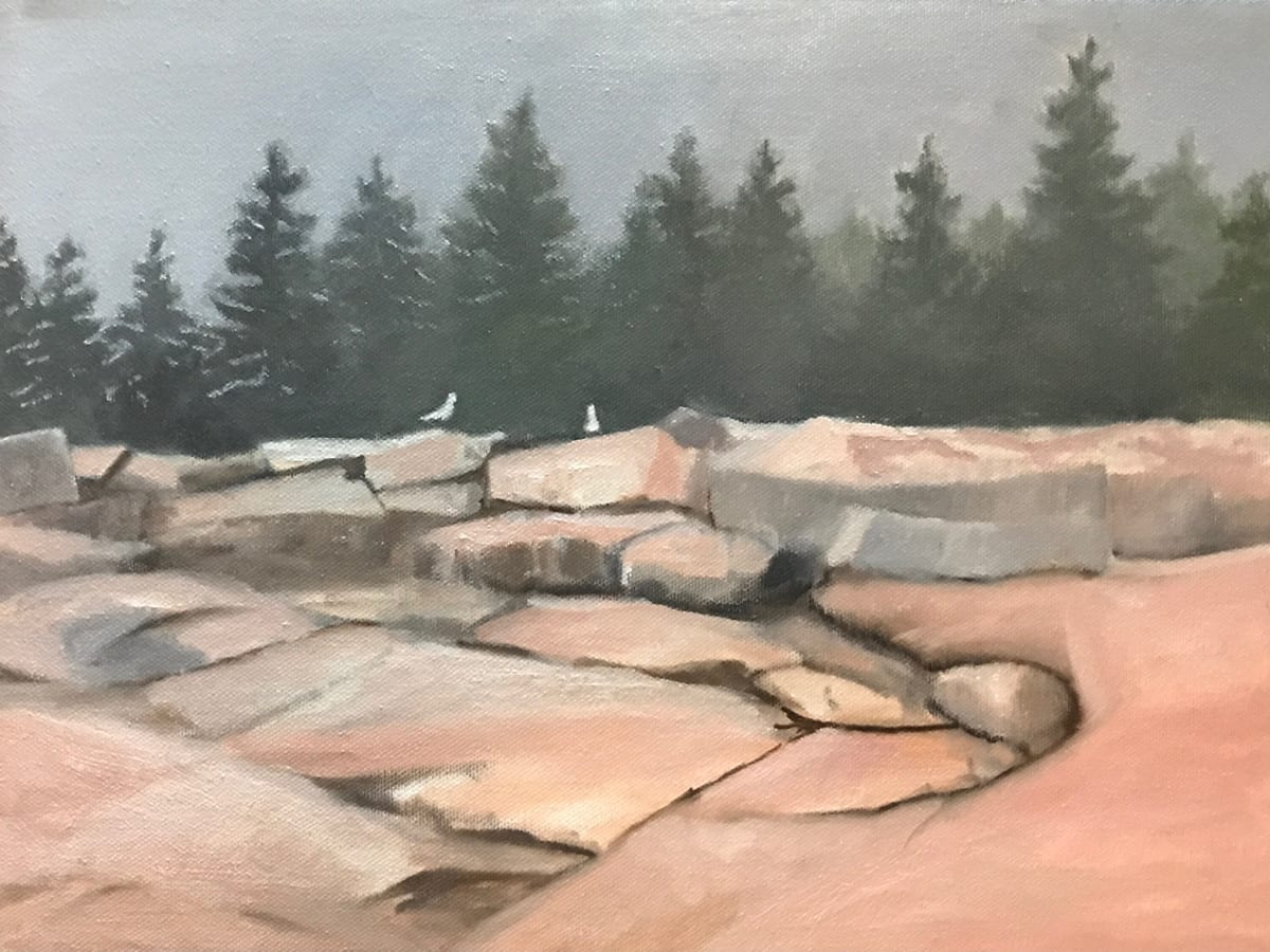 Seagulls and Fog by John Attanasio Fine Art Studio 