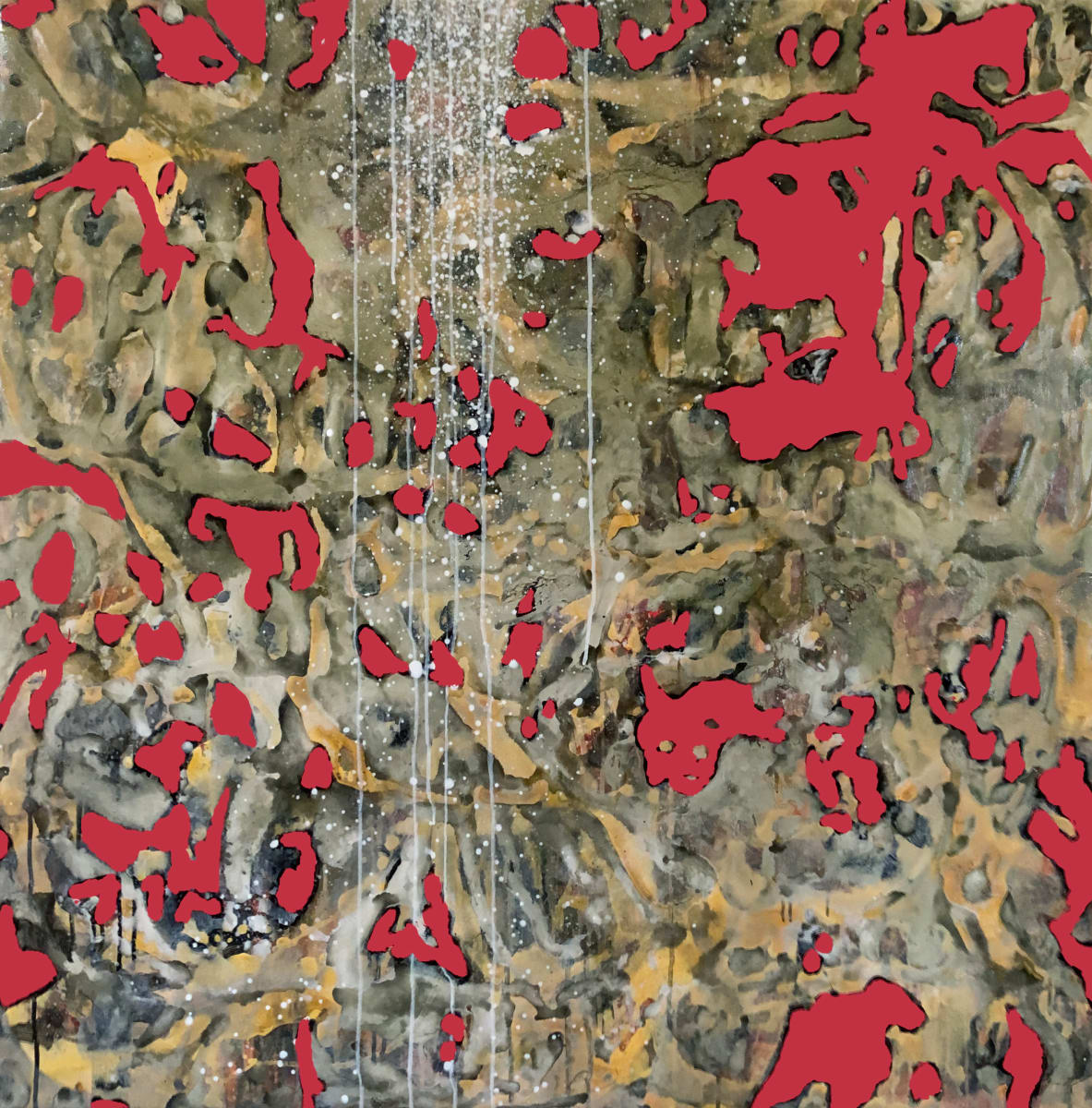 Transfiguration #3, Image 1.