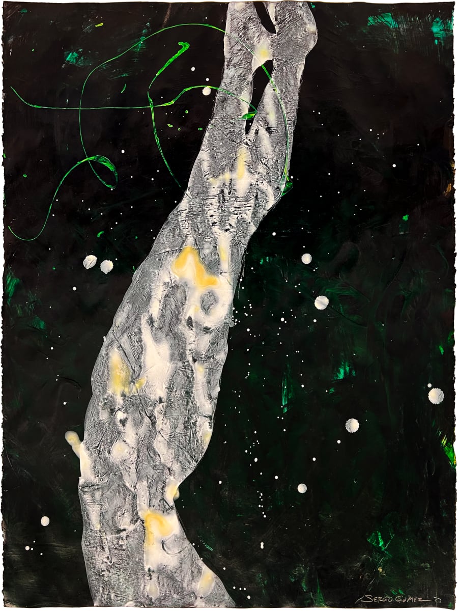 Impermanence: Living a Transient Life #4 by Sergio Gomez 