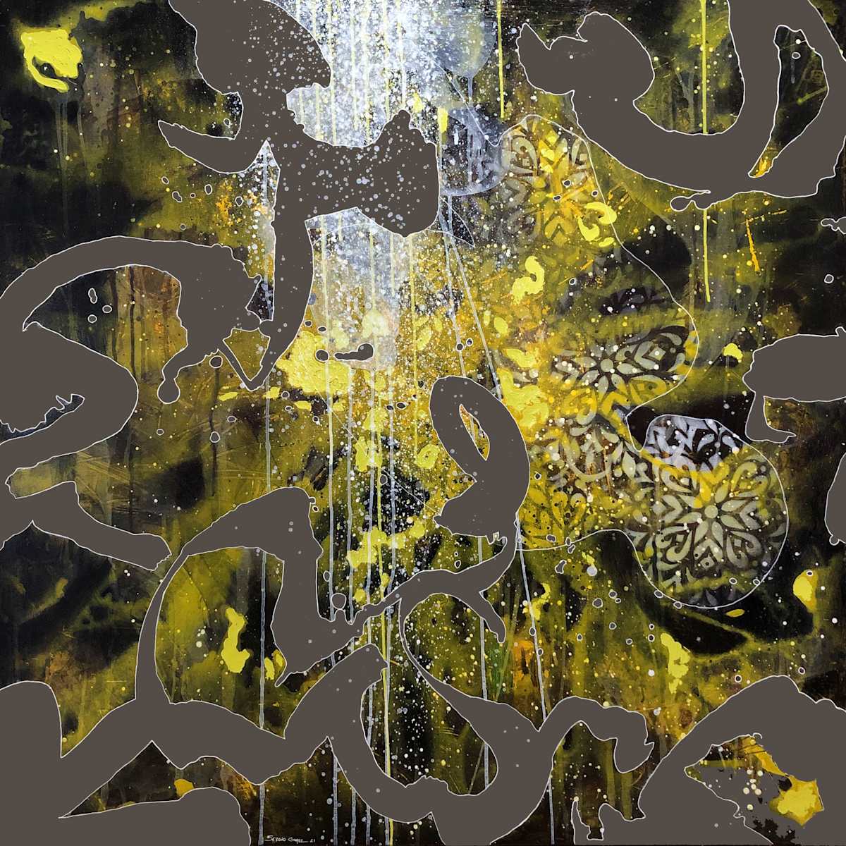 Transfiguration #5 by Sergio Gomez, Image 1.