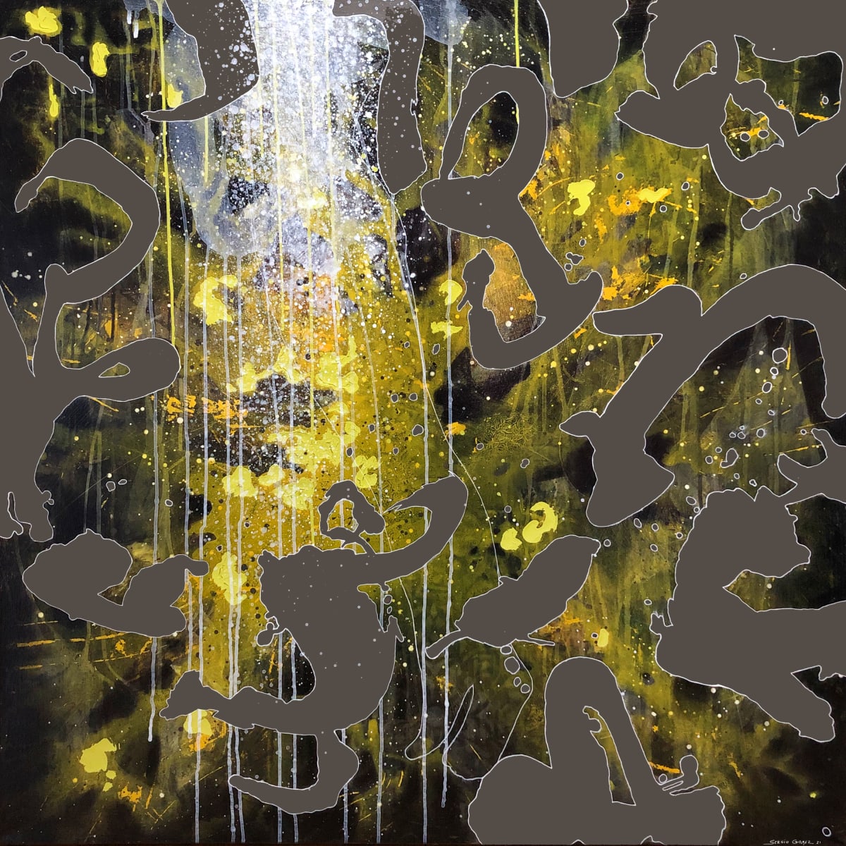 Transfiguration #6 by Sergio Gomez, Image 1.