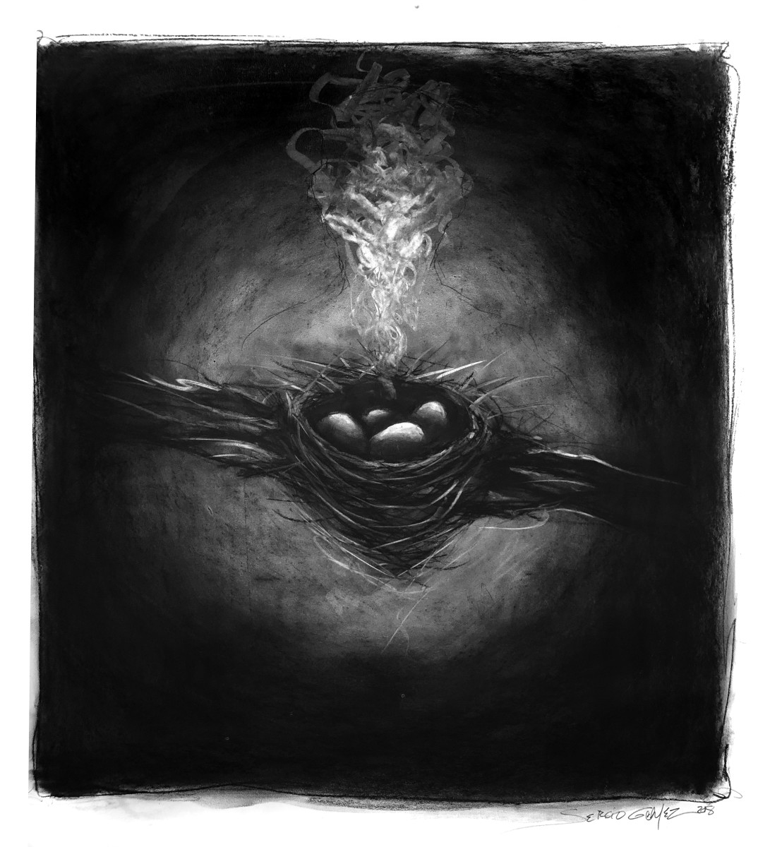 Nido / Nest by Sergio Gomez 