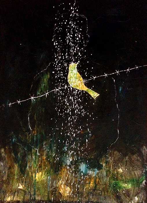 Night Watcher by Sergio Gomez, Image 1.