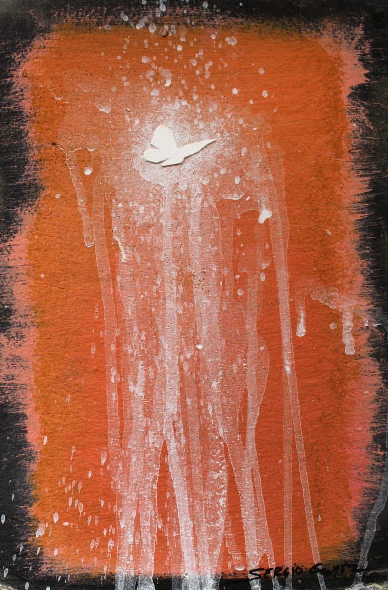 Transitional Habitat #11 by Sergio Gomez , Image 1.