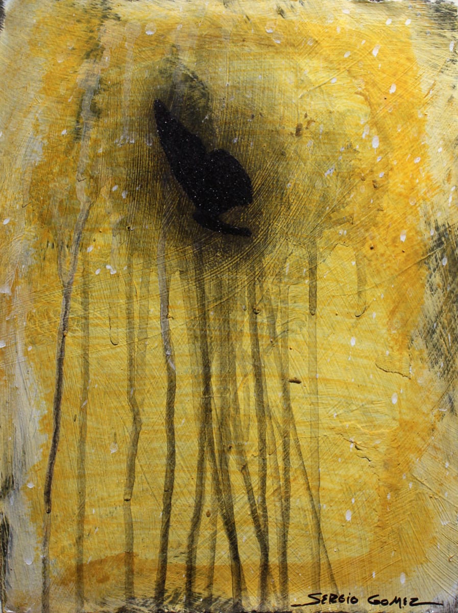 Transitional Habitat #15 by Sergio Gomez , Image 1.