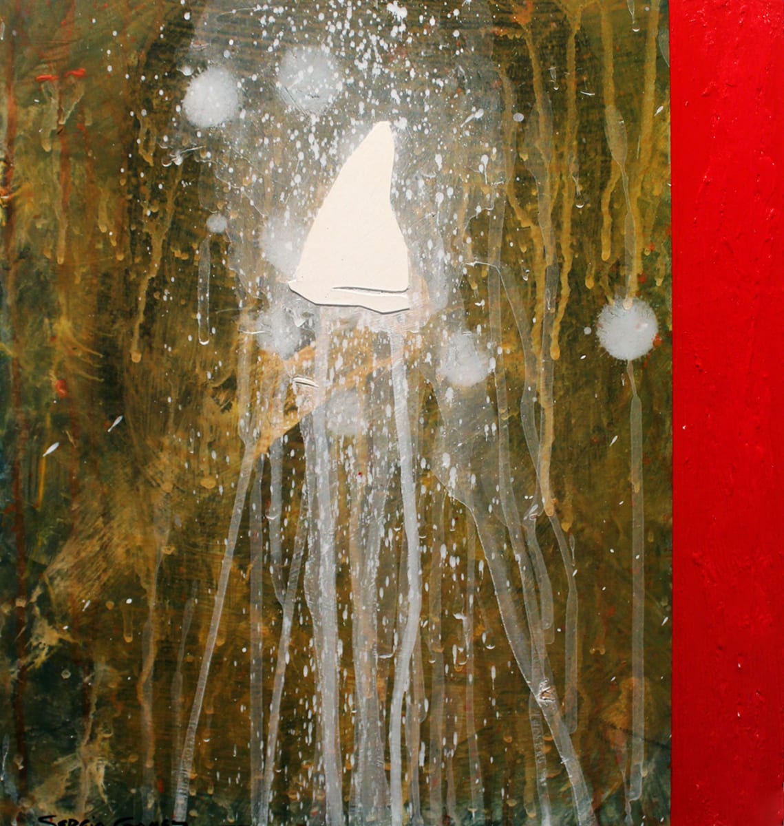 Transitional Habitat #18 by Sergio Gomez , Image 1.