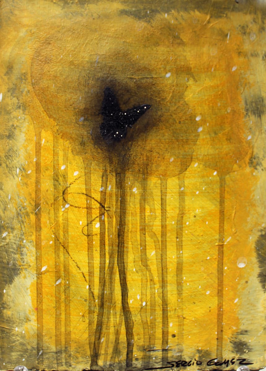 Transitional Habitat #7 by Sergio Gomez , Image 1.