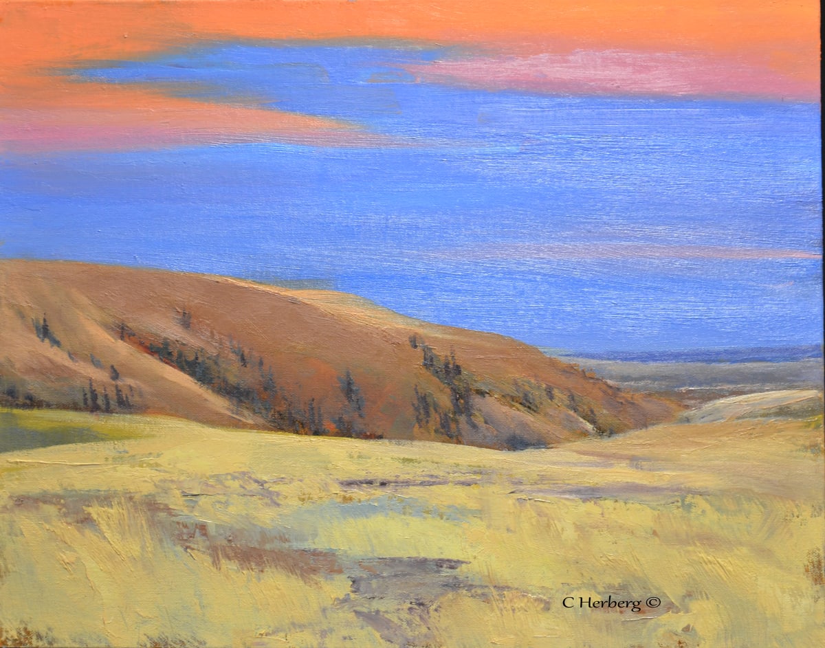 Compliments to the Sky by Connie Herberg 