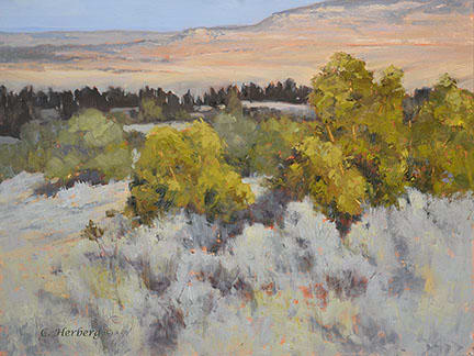 Sandstone and Sage by Connie Herberg 