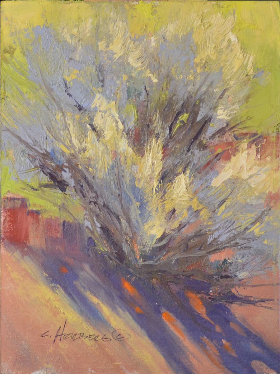 Sunlight Sage study by Connie Herberg 