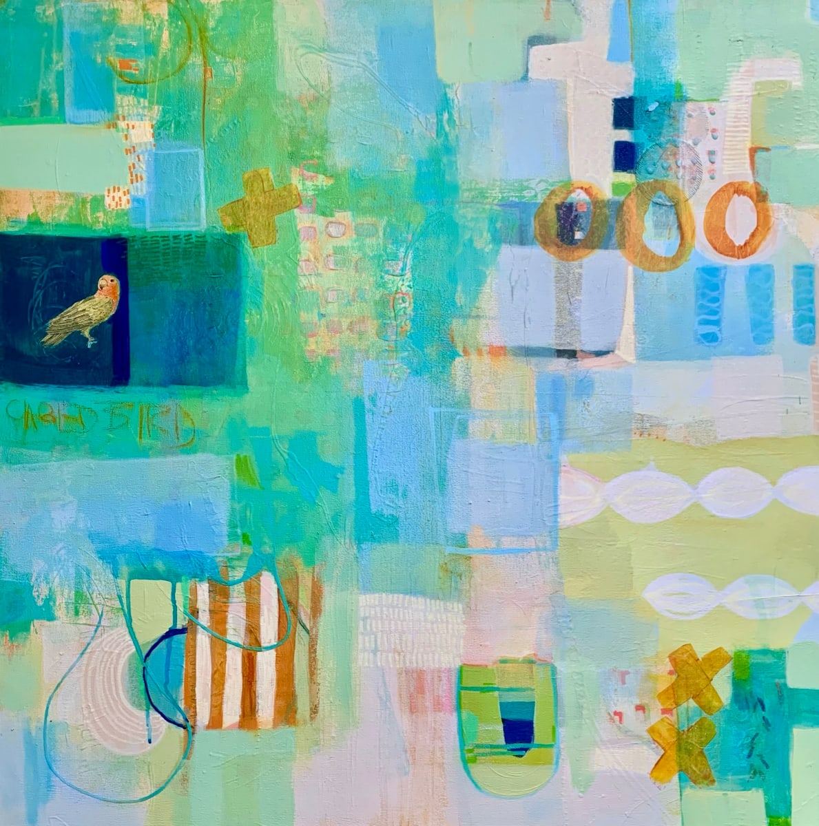 Caged Bird by Sally Hootnick 