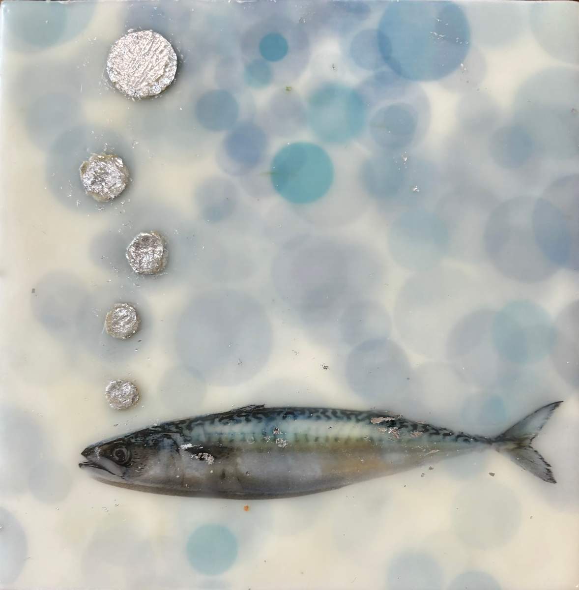 Fish by Sally Hootnick 