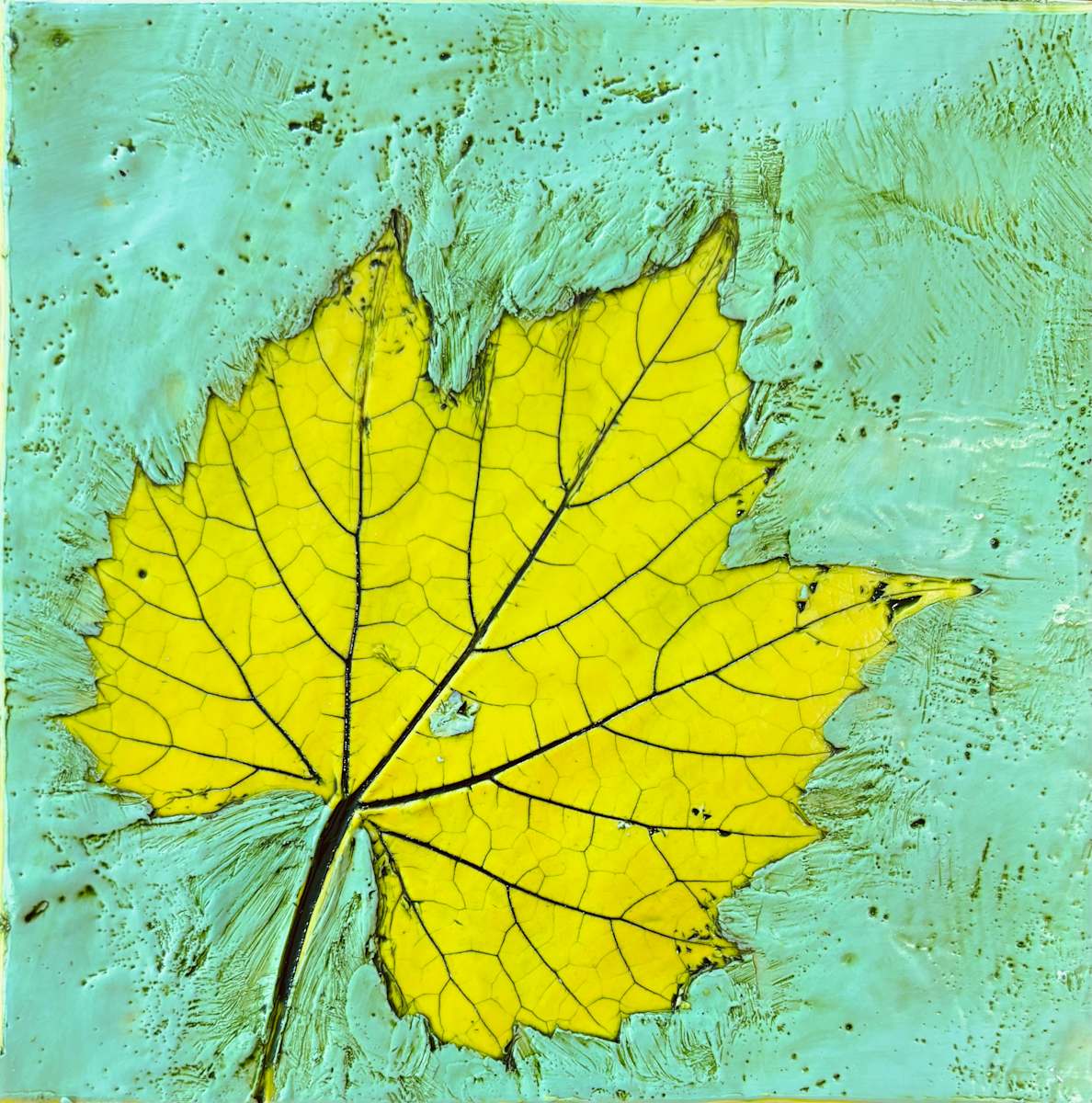 Grape Leaf by Sally Hootnick 