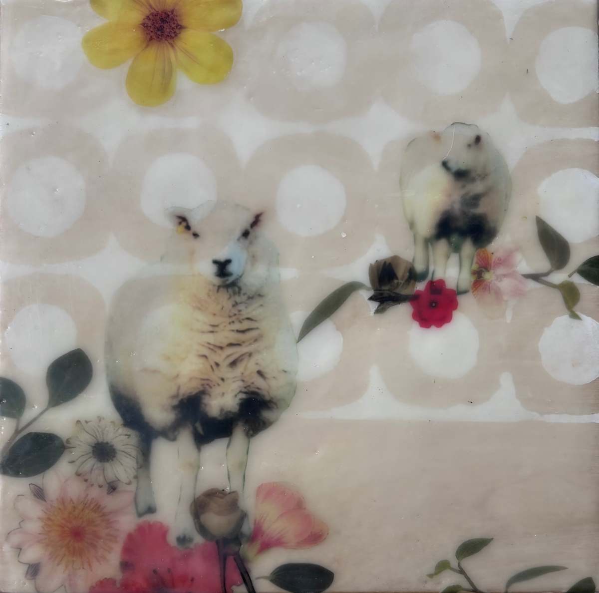 Sheep Show by Sally Hootnick, Image 1.