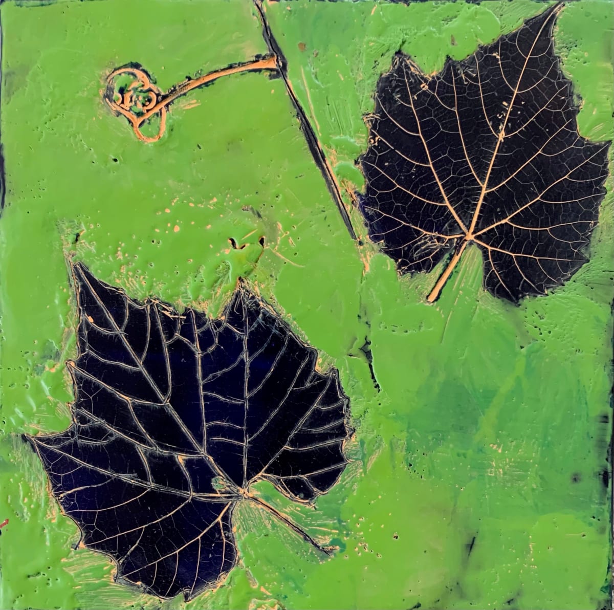 LeafSeries/Sycamore  Image: Piece is framed in a clear maple floater frame