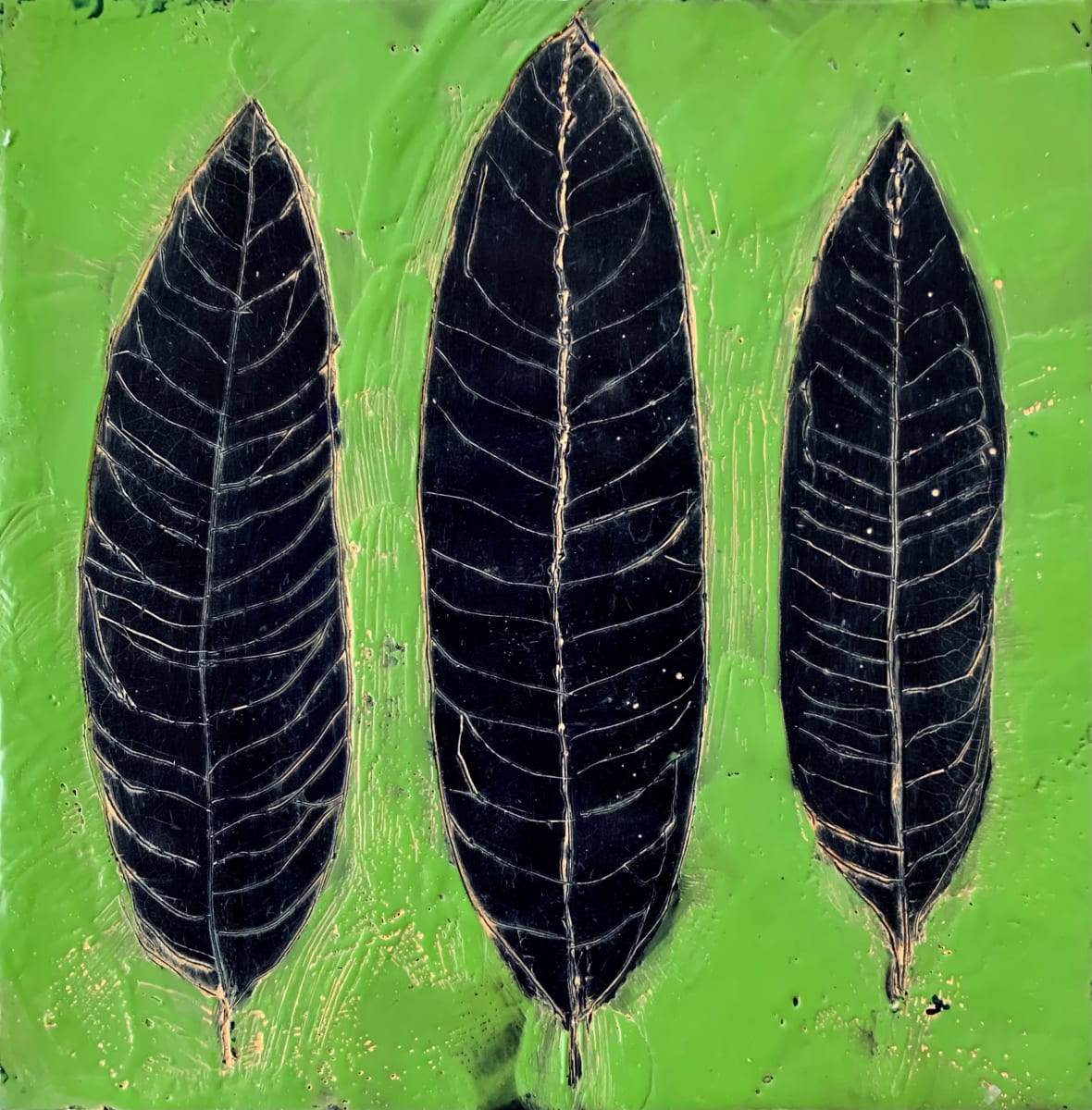 Leaf Series/Milkweed, Image 3.