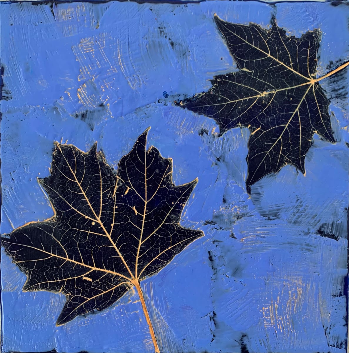 LeafSeries/Maple  Image: Piece is framed in a clear maple floating frame