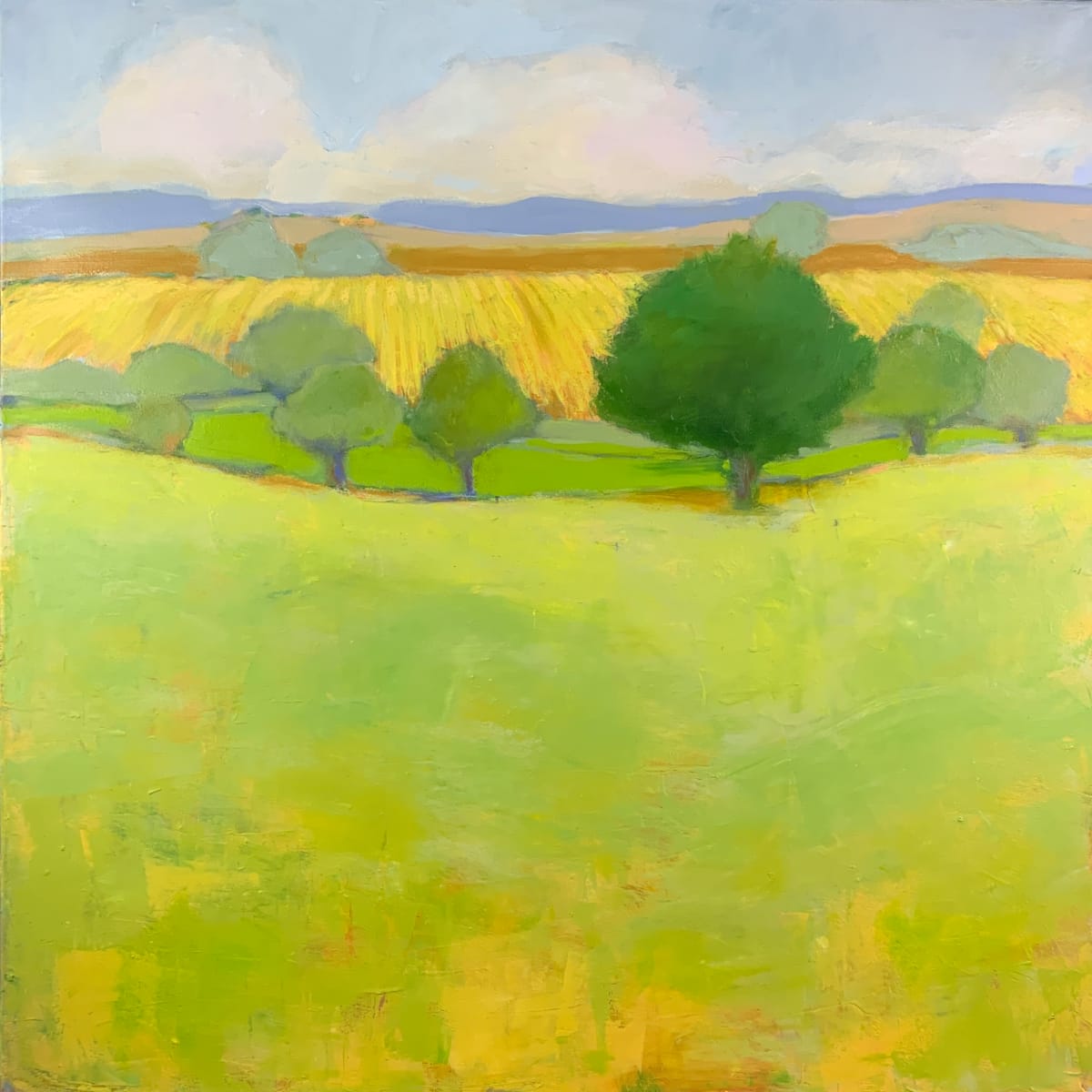 Fieldview by Sally Hootnick 