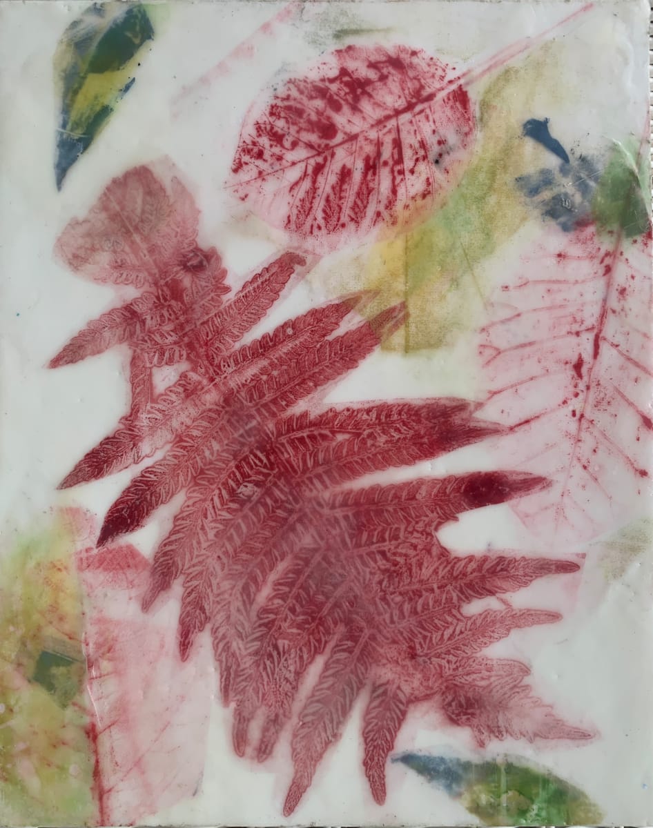 Red Fern 