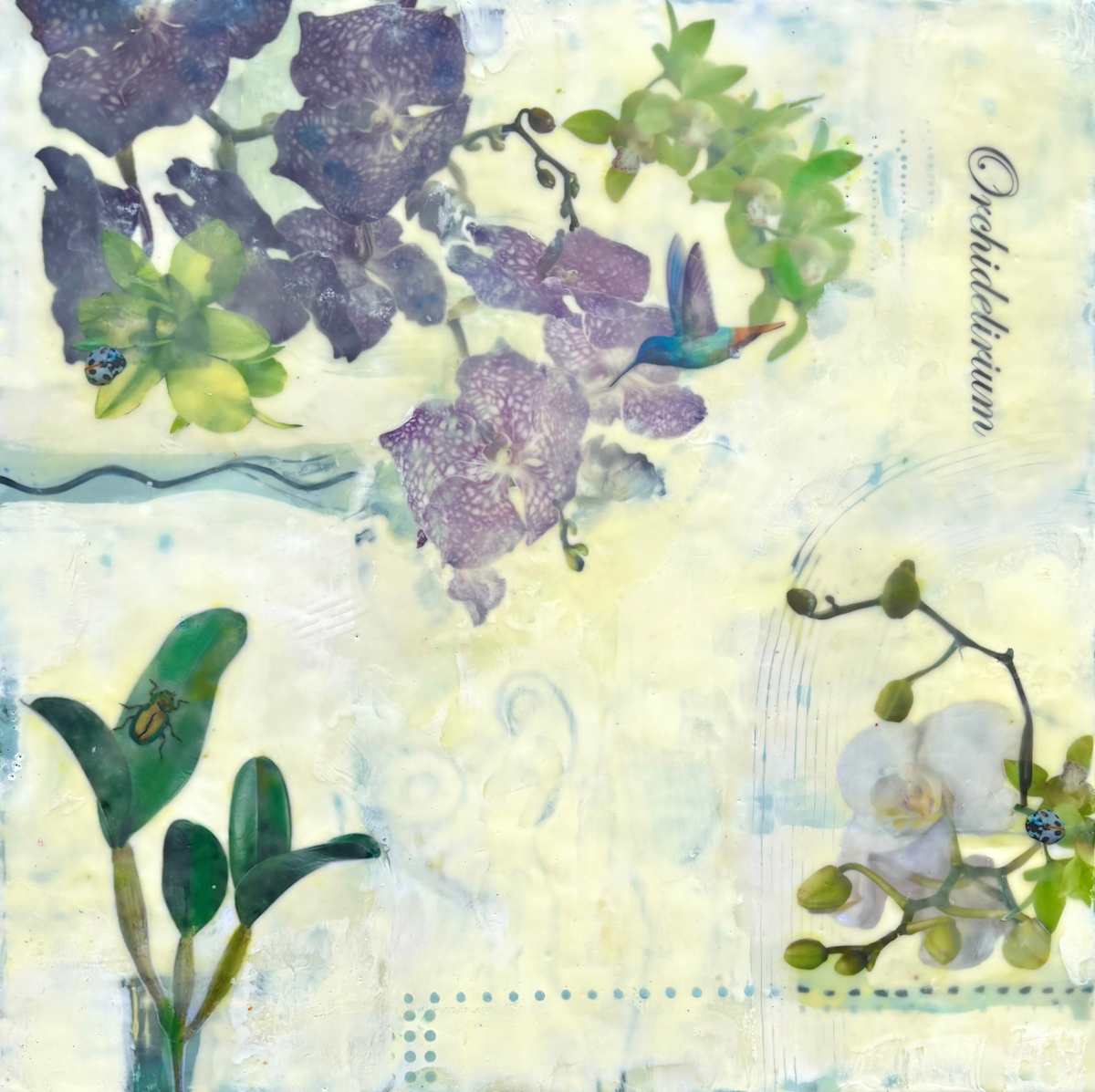 Orchidelirium by Sally Hootnick 