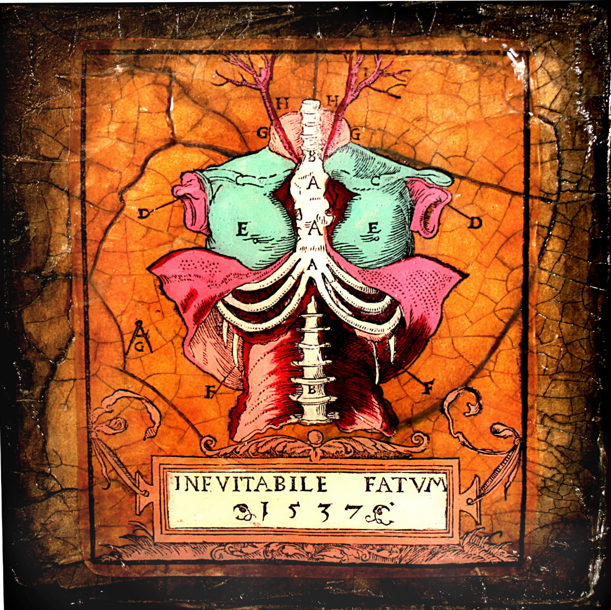 Inevitable Fate by Terri Maxfield Lipp 