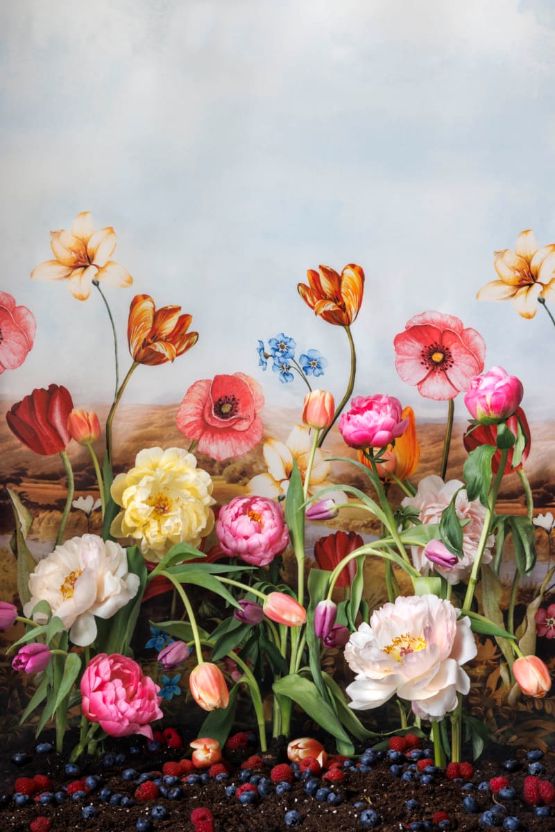 A Parade of Peonies by JP Terlizzi 